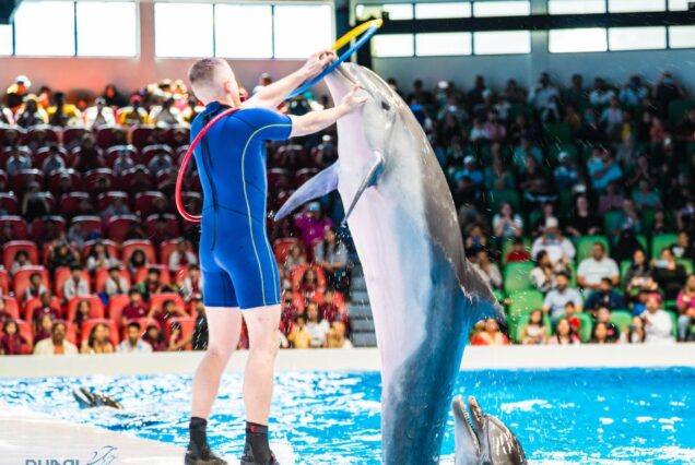 Dubai Dolphin Show