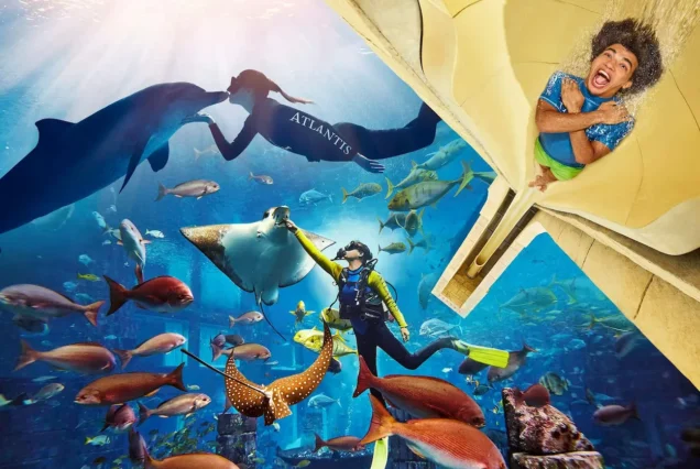 Aquaventure Waterpark